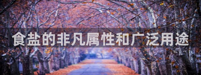 威九国际全国空降