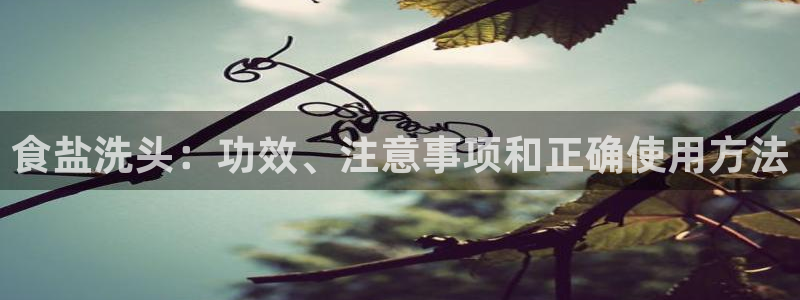 威九国际网站进入AB,AB