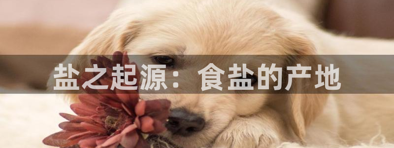 威九国际特殊奖励我的奖励竟然是嫂子