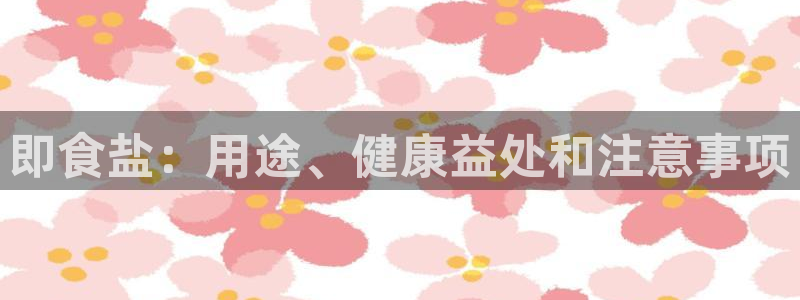 威九国际软件公司简介