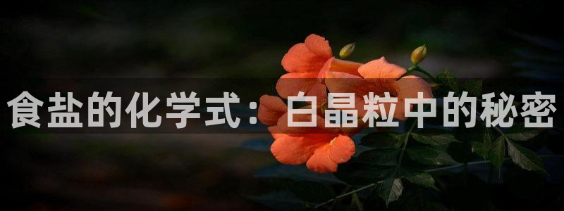 威九国际66
