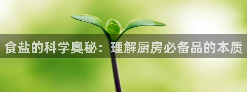 78mapp威九国际免费官方版下载
