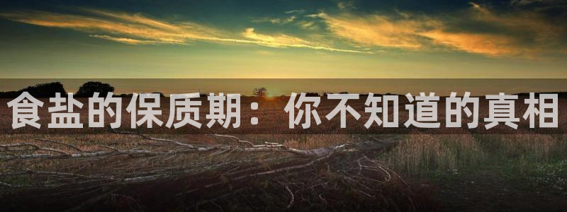 威九国际网站安全吗可靠吗