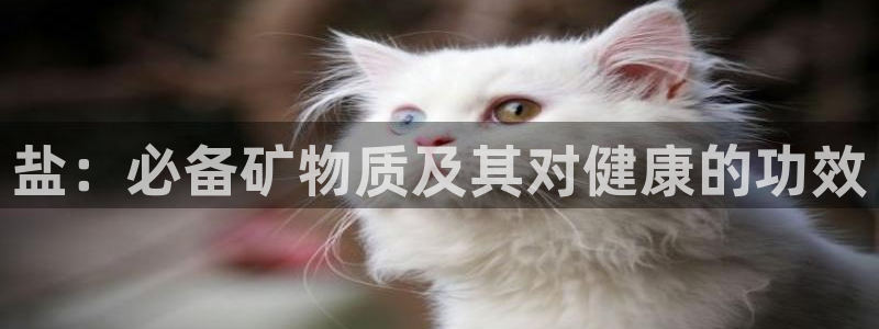 威九国际女艺人