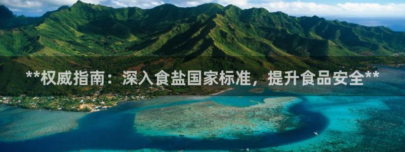 威九国际PPT