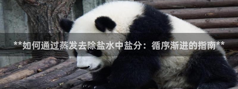 威九国际图片