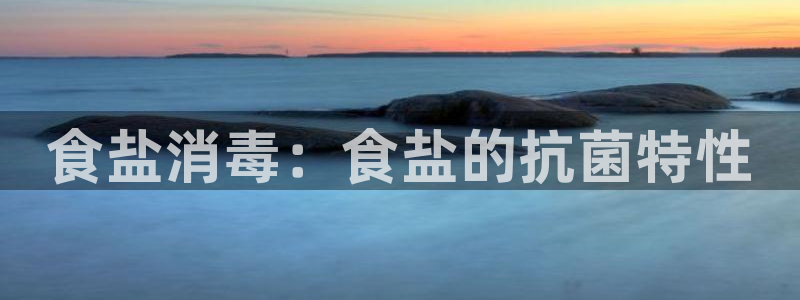 威九国际ppt免费吗