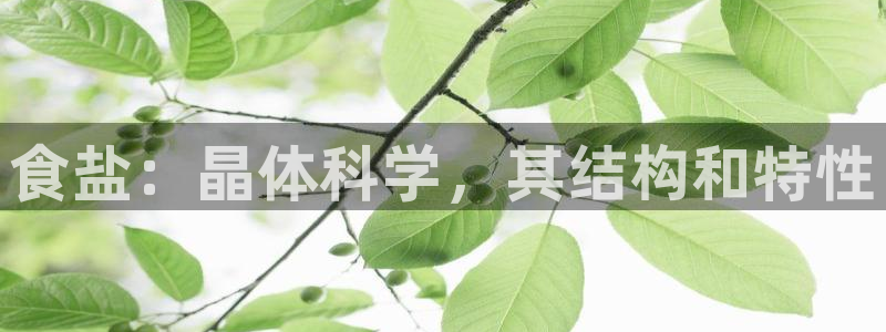 威九国际特殊奖励