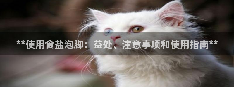 威九国际留学