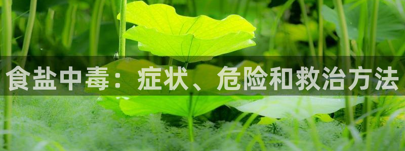 威九国际Info