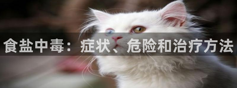 78mapp威九国际神曲口服液