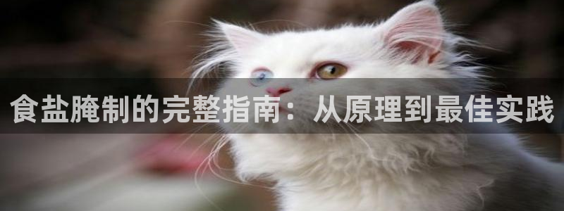 威九国际官网在线进入网站查询