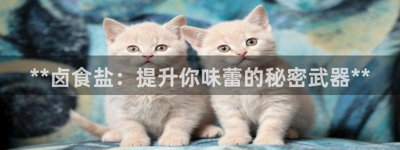 威九国际app无法登陆怎么回事