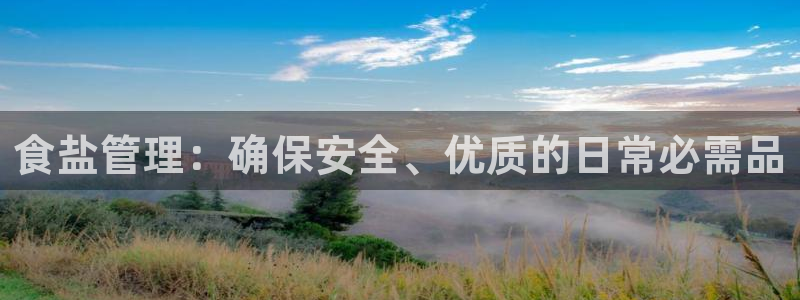 威九国际网站是多少