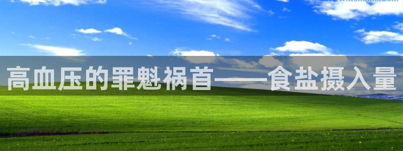 威九国际成长模式