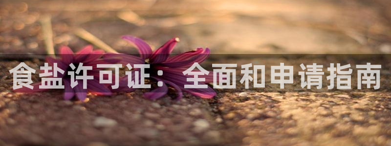 威九国际替好友去