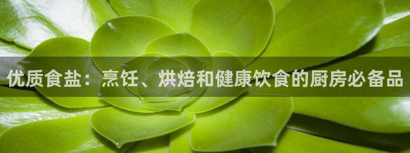 威九国际游戏
