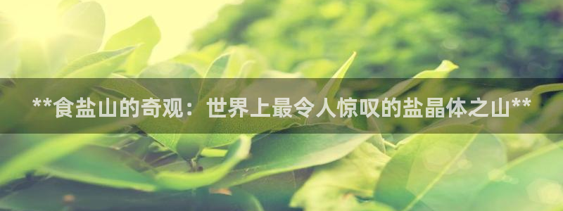 威九国际网站人入口
