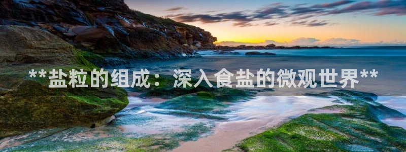 威九国际最新网站