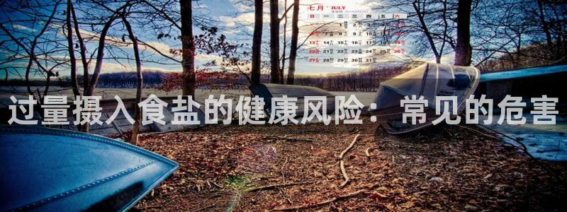 威九国际app无法登陆怎么回事