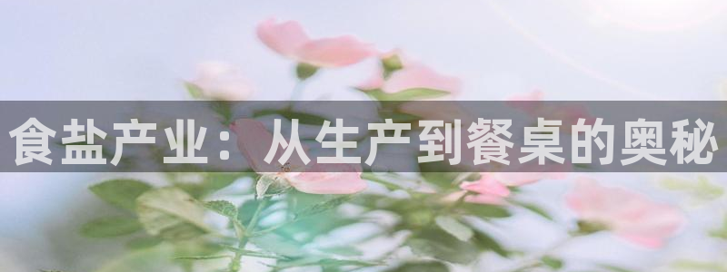 威九国际网站入口官网首页