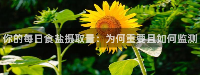 威九国际78mb下载