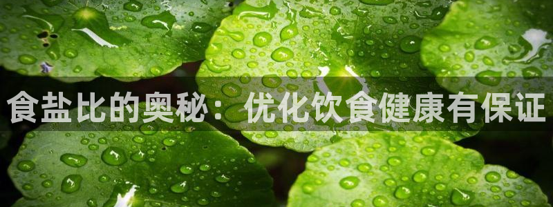 威九国际演员2023年最新作品