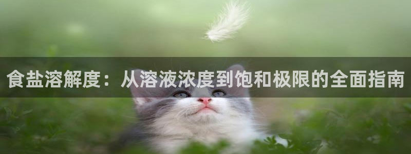 威九国际游戏