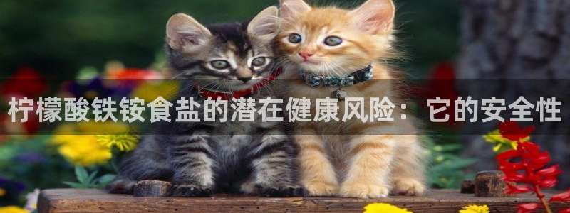 保定威九网络科技有限公司电话