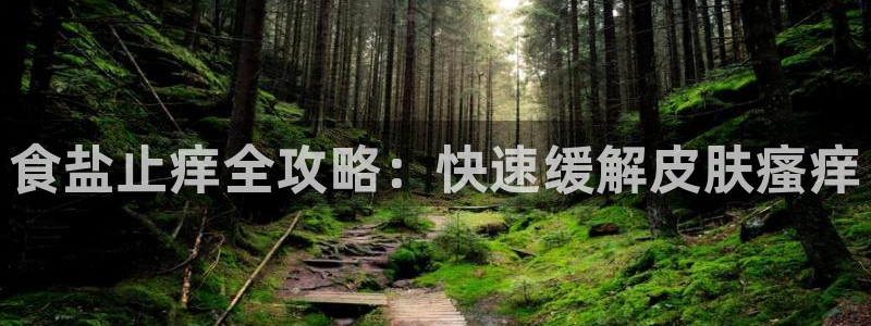 威九国际理论片最经典十首歌曲