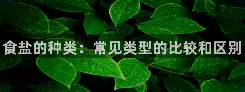 威九国际网站传媒