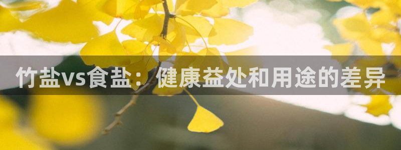 保定威九网络科技有限公司