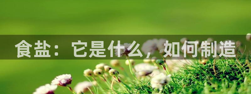 威九国际78mb游戏