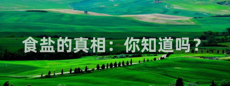 保定威九网络科技有限公司招聘