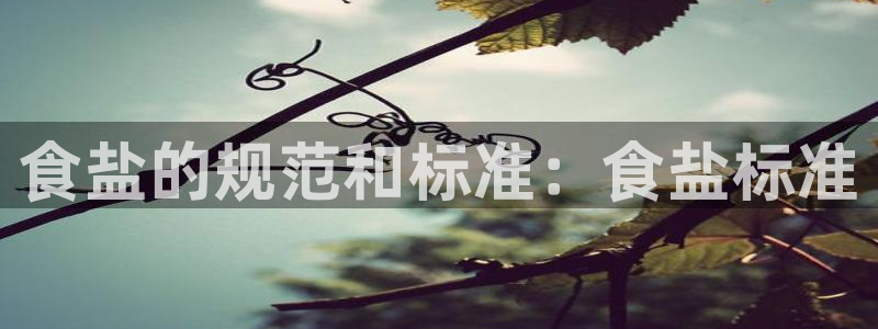 威九国际的网站入口在哪里