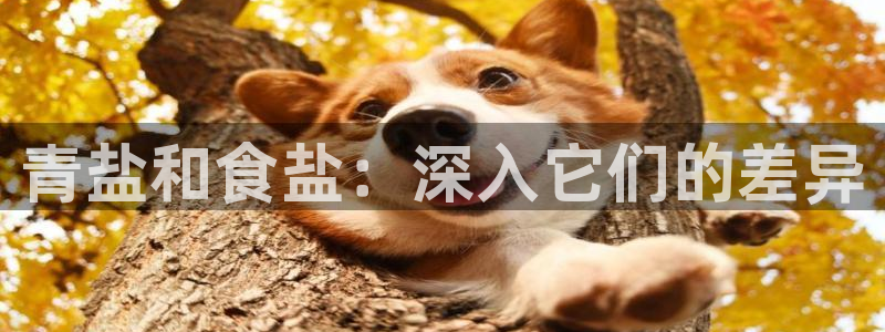 威九国际网站在哪里