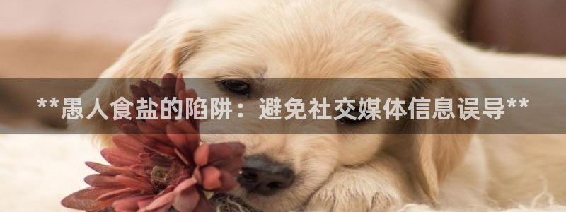 威九国际摩托电影HD