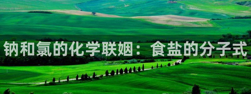 威九国际网站怎么样可靠吗