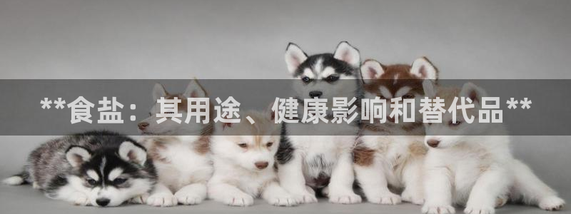 威九国际官网版下载