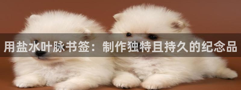 威九国际网站下载