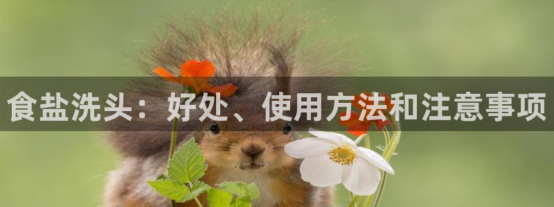 威九国际的金融服务有哪些