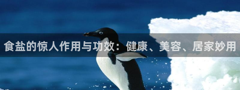 威九国际app大全下载安装