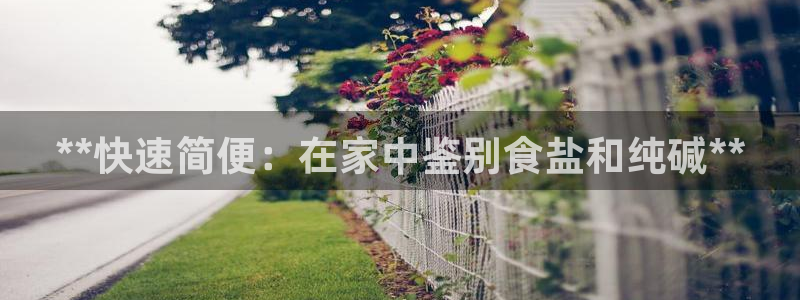 威九国际视频传媒招聘