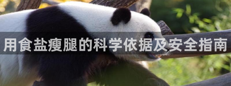 威九国际入囗