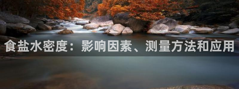 威九国际PPT
