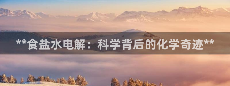 威九国际66