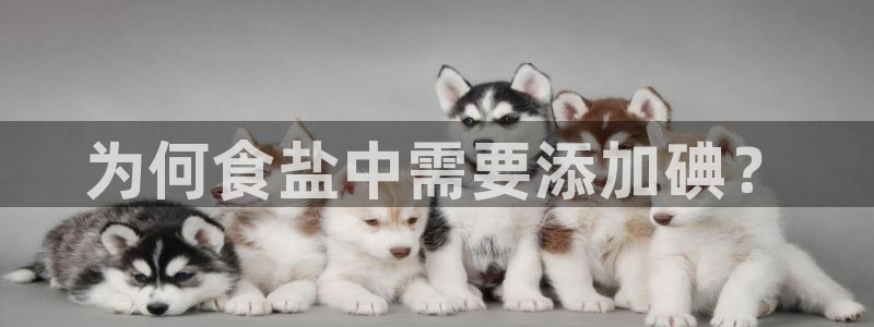 78mapp威九国际成长视频
