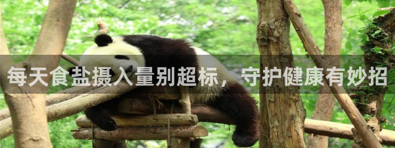 威九国际游戏app网址