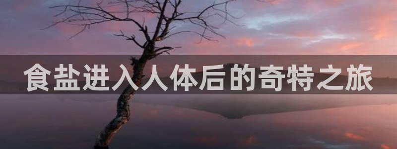 威九国际精彩推荐怎么样