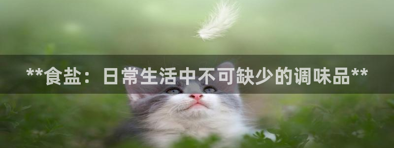 威九国际网站入口官网游戏推荐